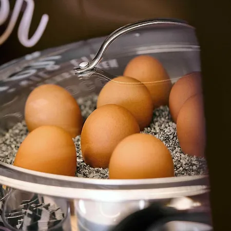 Hotel Giessen-linden